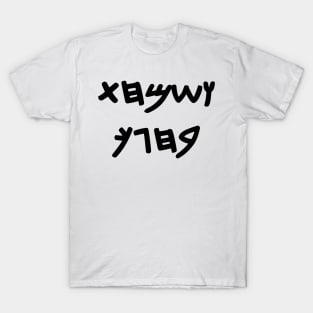 And You Shall Rejoice On Your Holiday (Paleo-Hebrew) T-Shirt